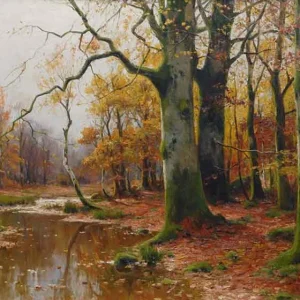 Arroyo de un bosque en otoño